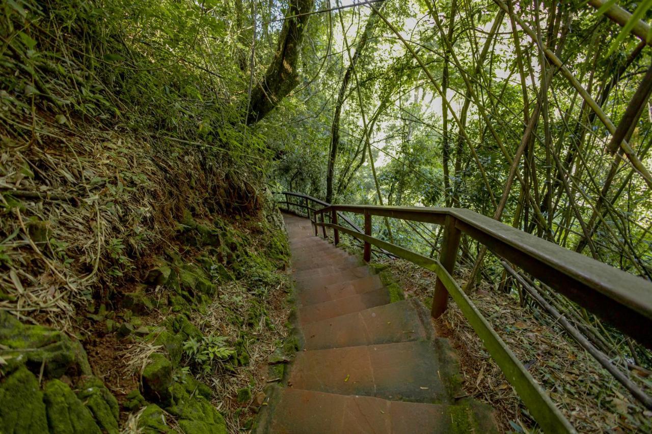 Cassorova Resort E Ecoturismo 布罗塔斯 外观 照片